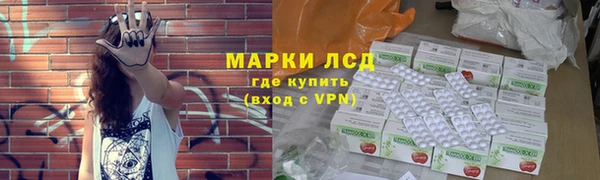 индика Богданович