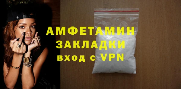 индика Богданович