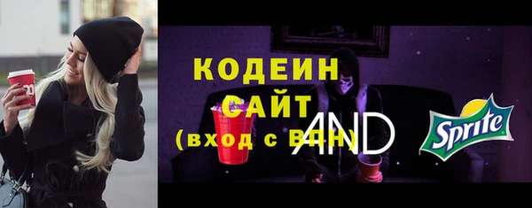 индика Богданович