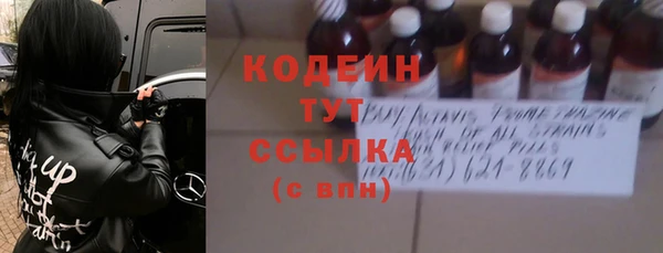 индика Богданович