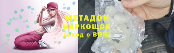индика Богданович