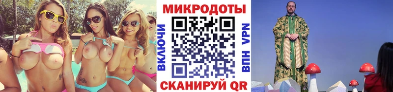 где купить наркотик  Красный Кут  Галлюциногенные грибы Cubensis 